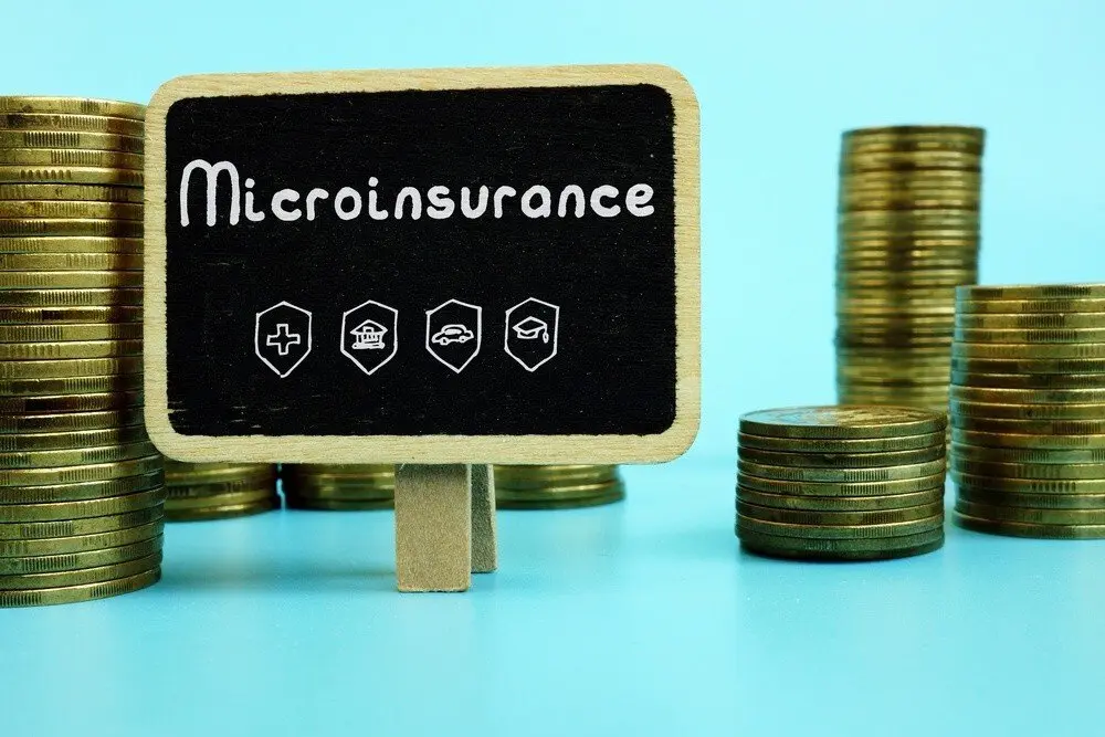 The Rise of Microinsurance in Africa: Opportunities and Challenges